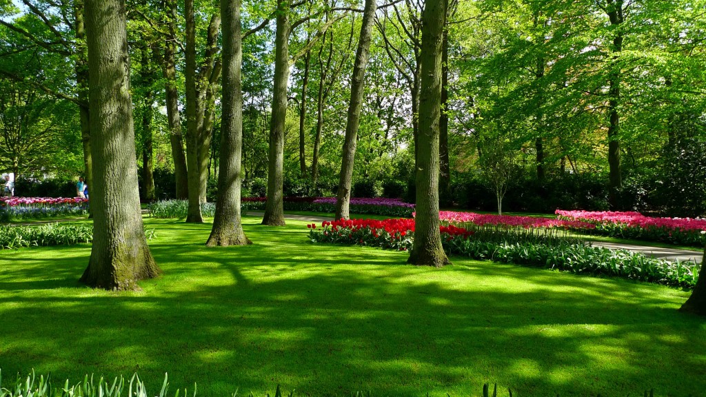 Keukenhof Gardens, Lisse, The Netherlands
