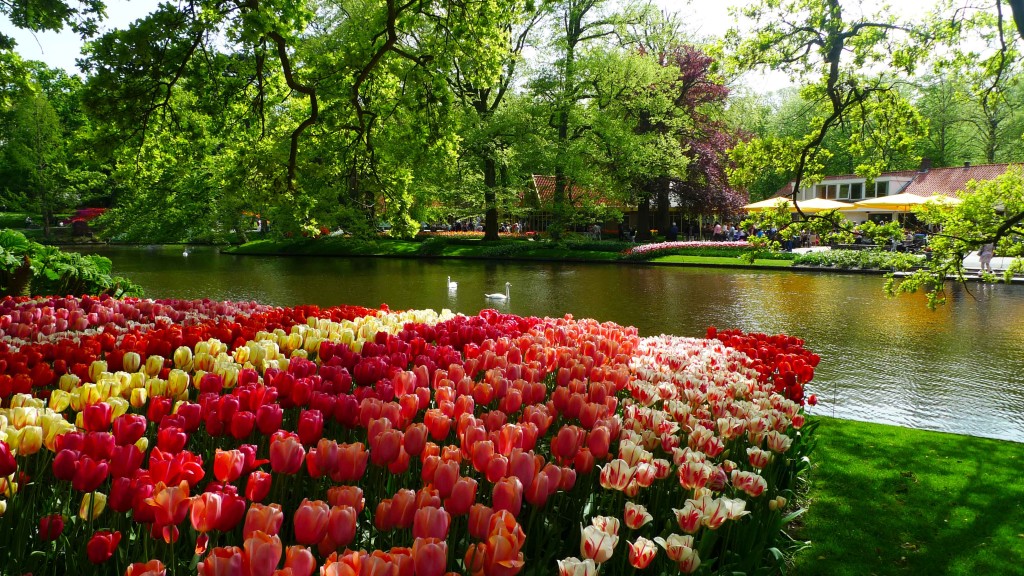 Keukenhof Gardens, Lisse, The Netherlands