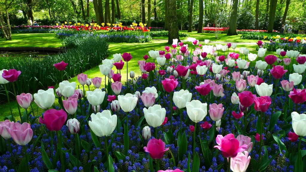 Keukenhof Gardens, Lisse, The Netherlands