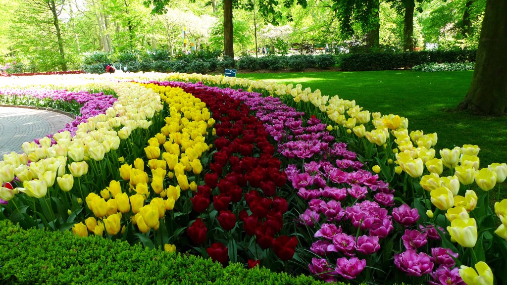 Keukenhof Gardens, Lisse, The Netherlands