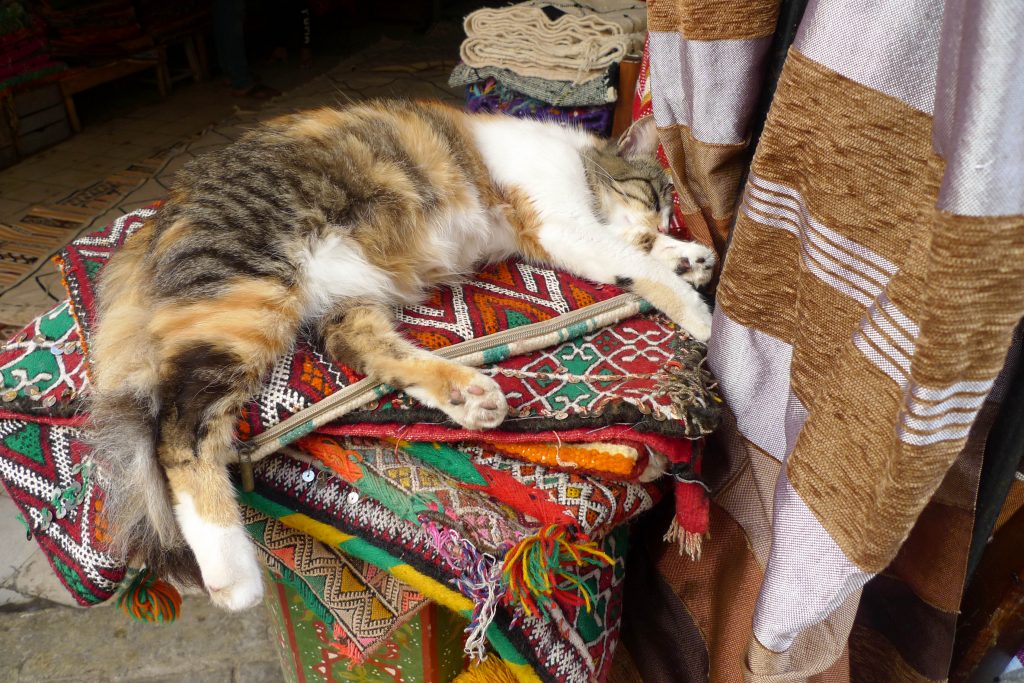 Essaouira shopping